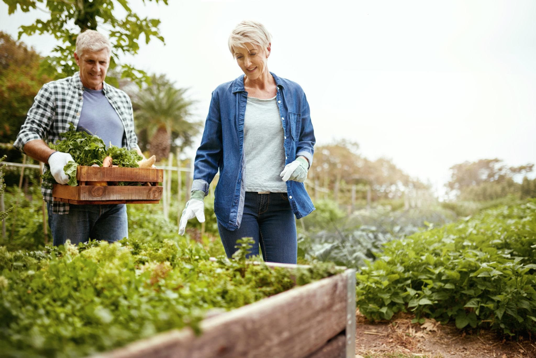 Building Healthy Retirement Routines